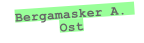 Bergamasker A. 
Ost